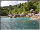 foto Flora e la Fauna alle Seychelles